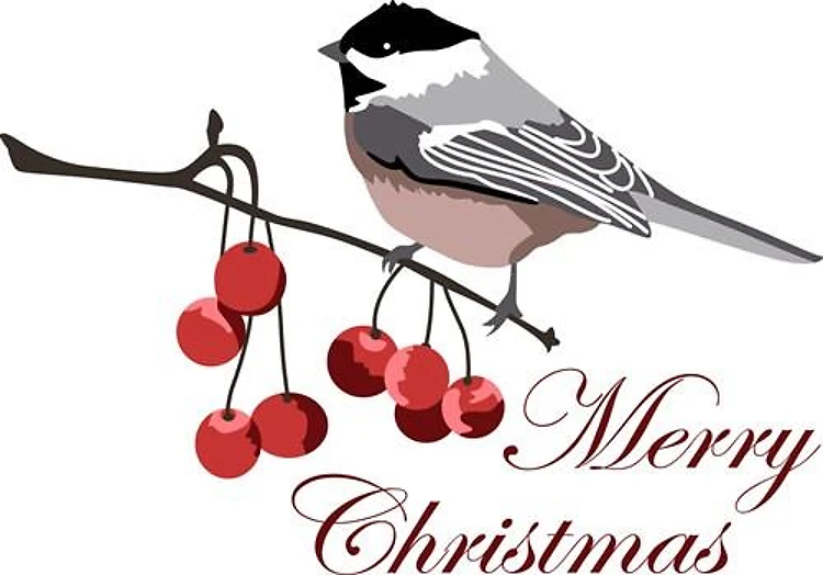 MERRY CHRISTMAS