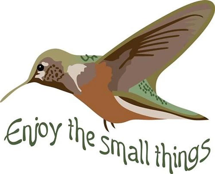 ENJOY THE SMALL THINGS