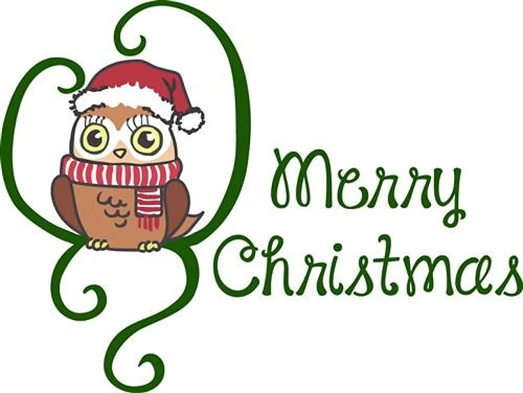 MERRY CHRISTMAS OWL