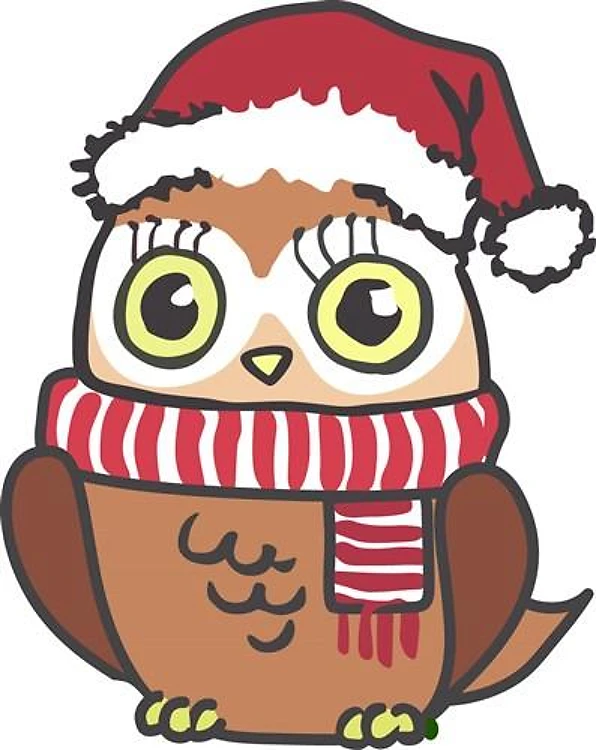 CHRISTMAS OWL