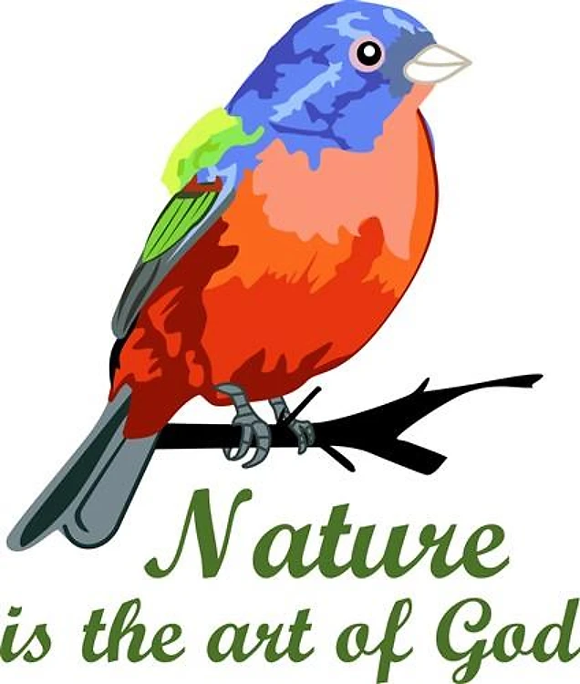 NATURE IS ART OF GOD