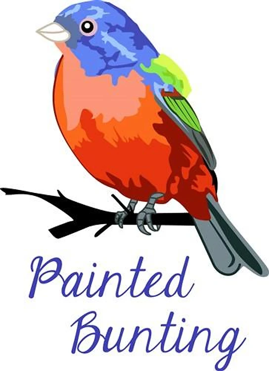 PAINTED BUNTING