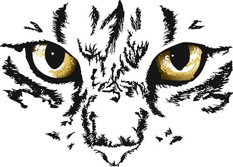 CAT FACE