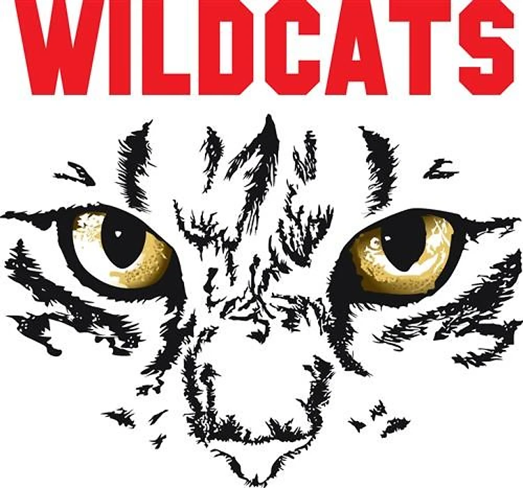 WILDCATS