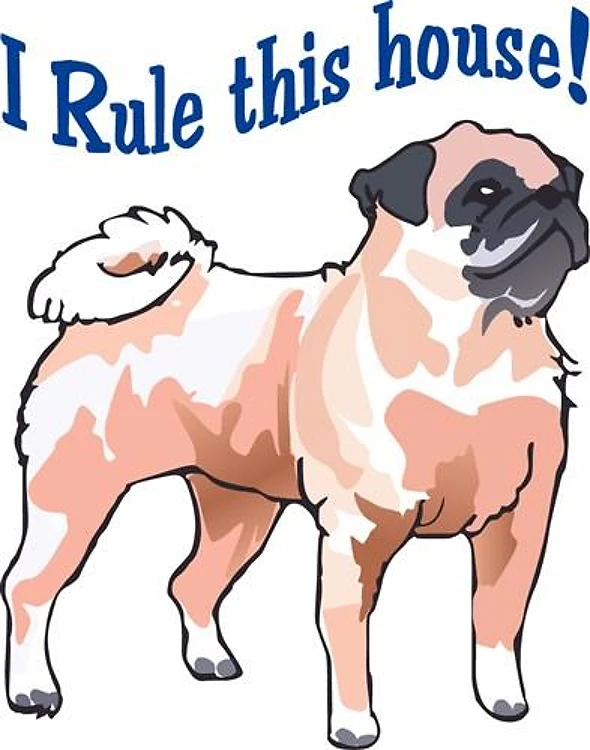 I RULE THIS HOUSE