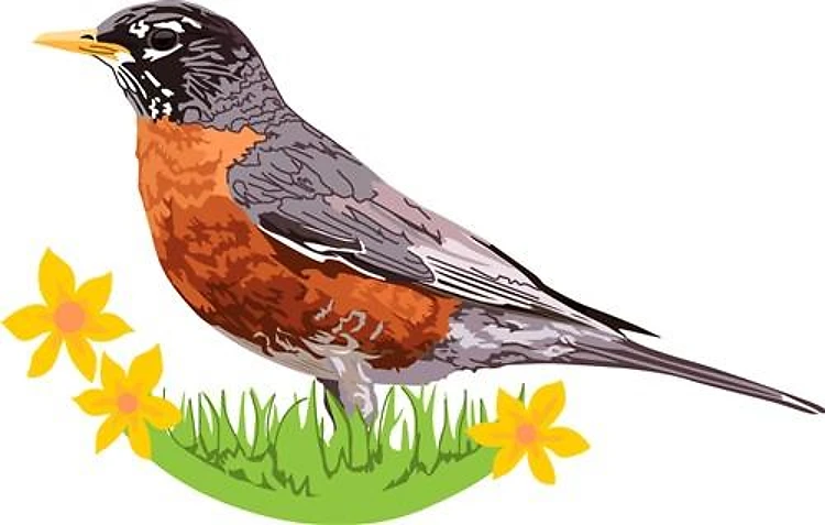 ROBIN