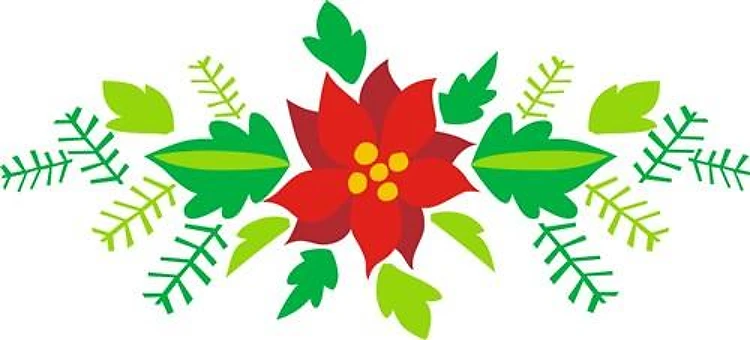 POINSETTAS