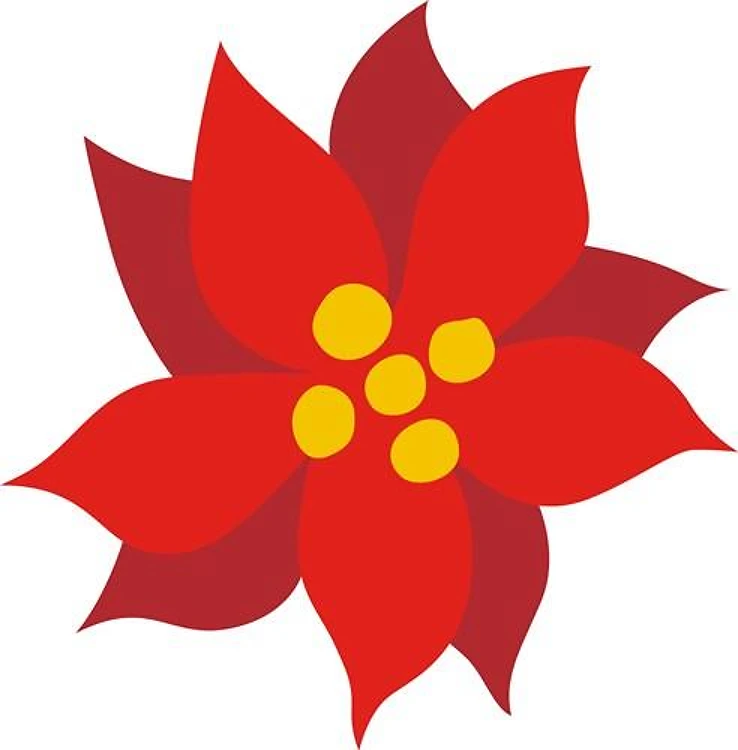 MINI POINSETTIA