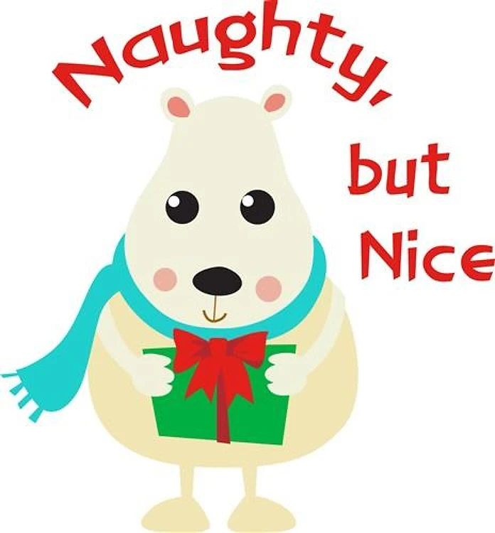NAUGHTY BUT NICE