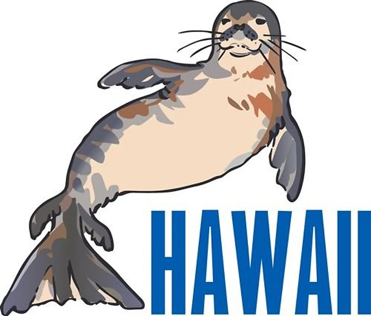 MONK SEAL HAWAII
