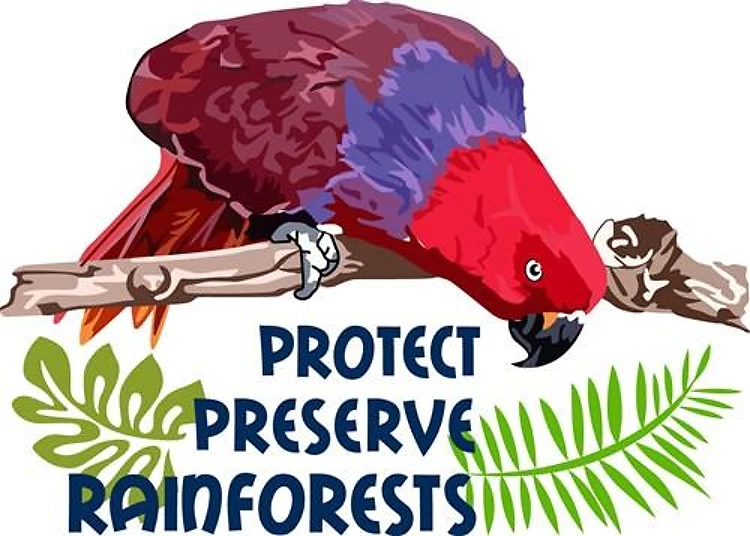 PRESERVE RAINFORESTS