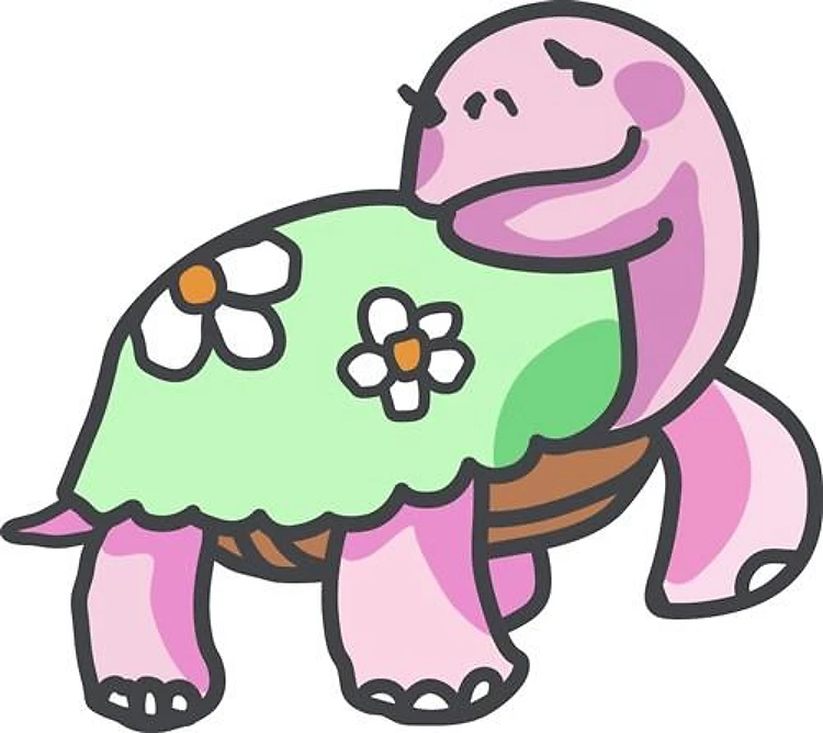 GIRL TURTLE