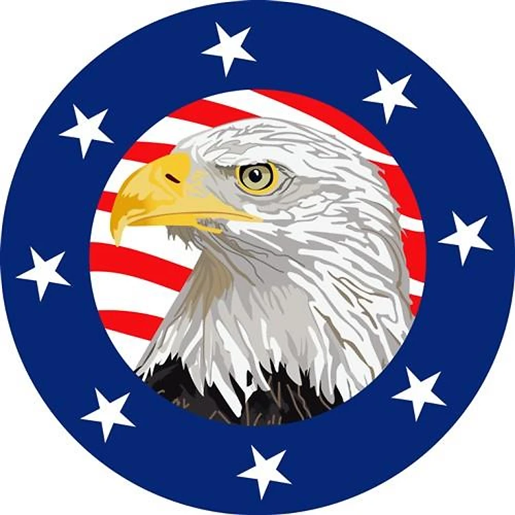 AMERICAN EAGLE LARGER