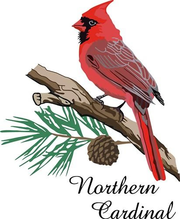 NORTHERN CARDINAL