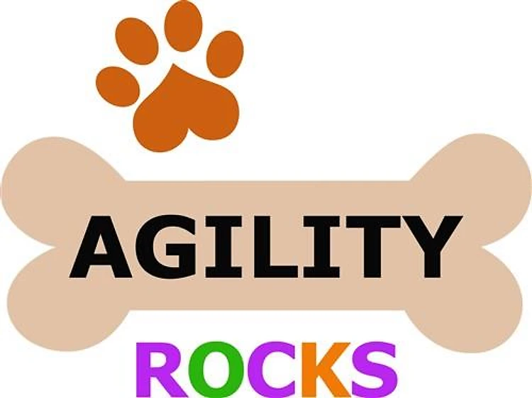 DOG AGILITY ROCKS