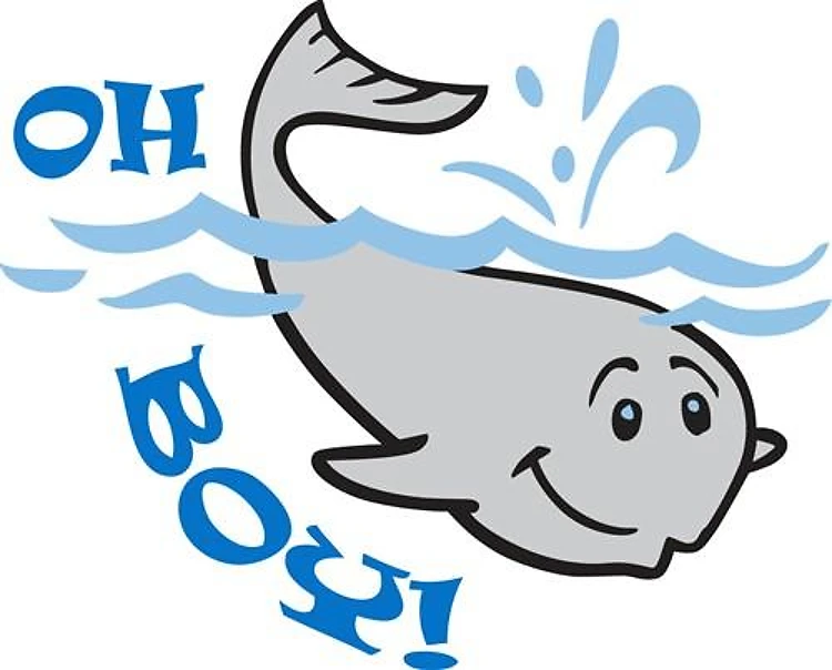 WHALE OH BOY