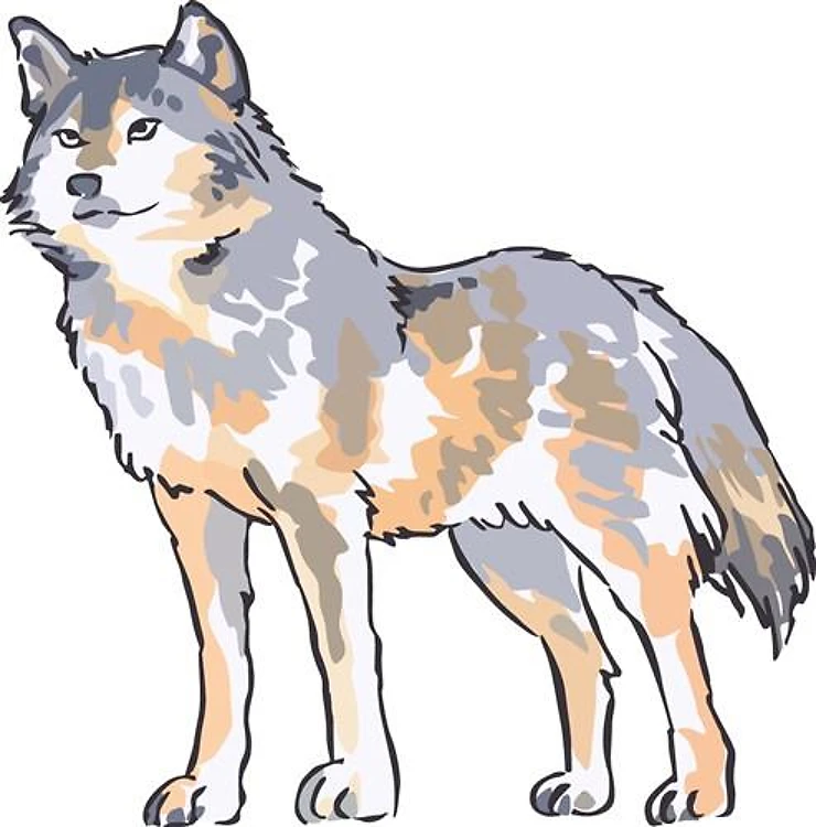 WOLF