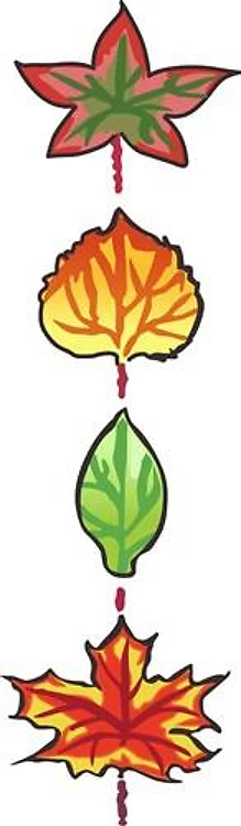 FALL LEAVES BORDER