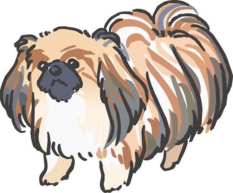 PEKINGESE DOG