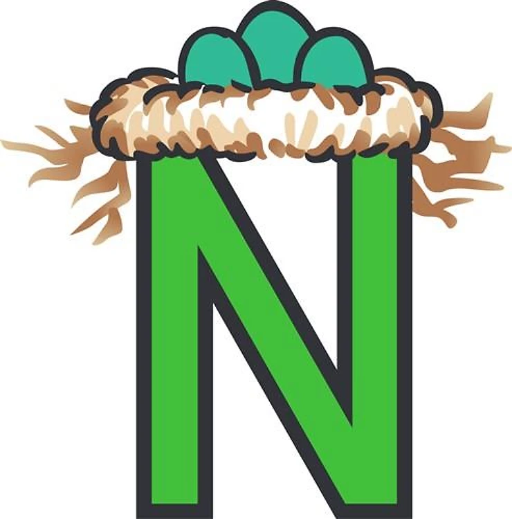 N NEST
