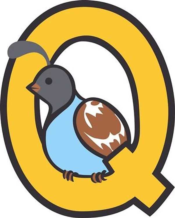 Q QUAIL