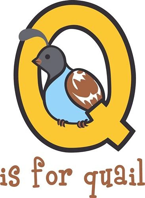 Q IS FOR QUAIL