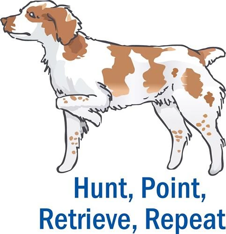 HUNT POINT RETRIEVE