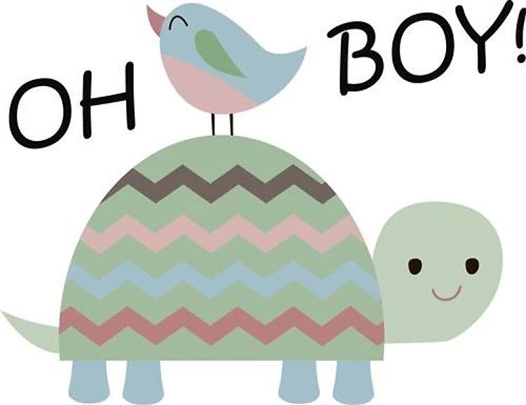 TURTLE OH BOY