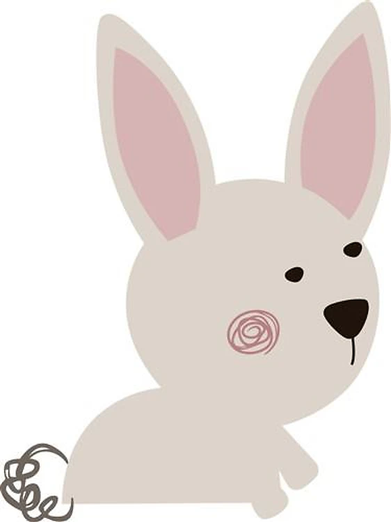 BABY BUNNY