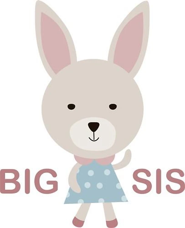 BIG SIS