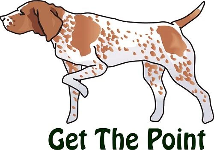GET THE POINT
