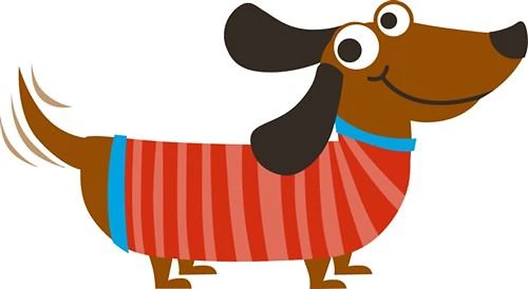 DACHSHUND DOG