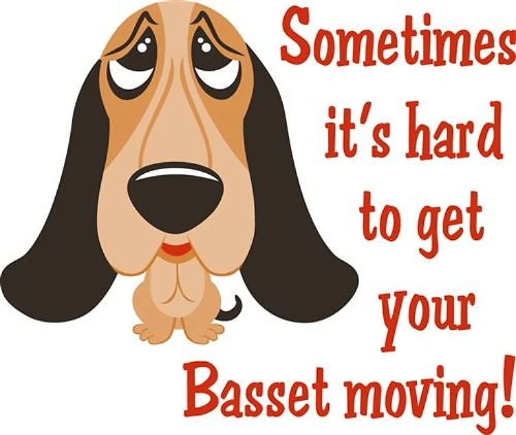 HARD TO GET BASSET MOVING