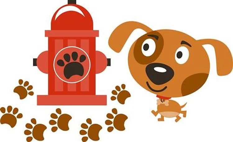 DOG AND HYDRANT