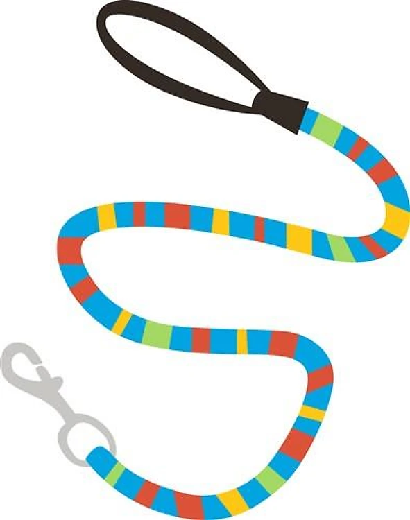 DOG LEASH