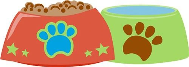 DOGS FOOD AND WATER