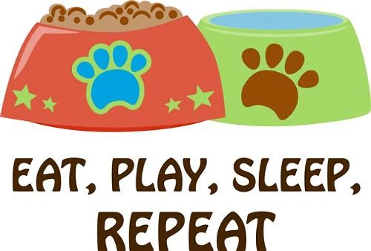 EAT PLAY SLEEP