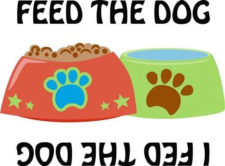FEED THE DOG