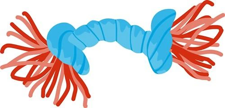 DOG TOY