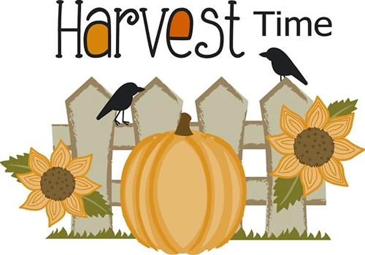 HARVEST TIME