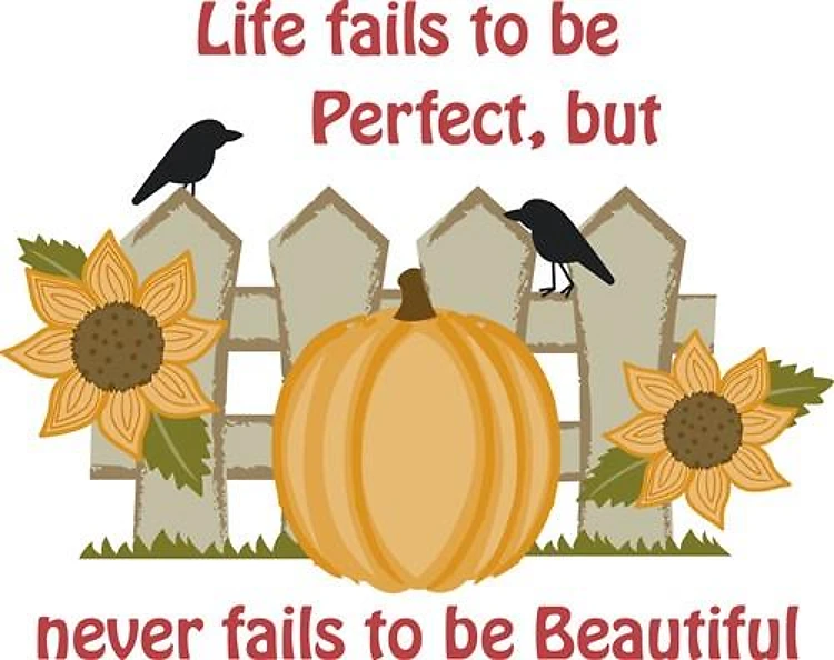LIFE NEVER PERFECT