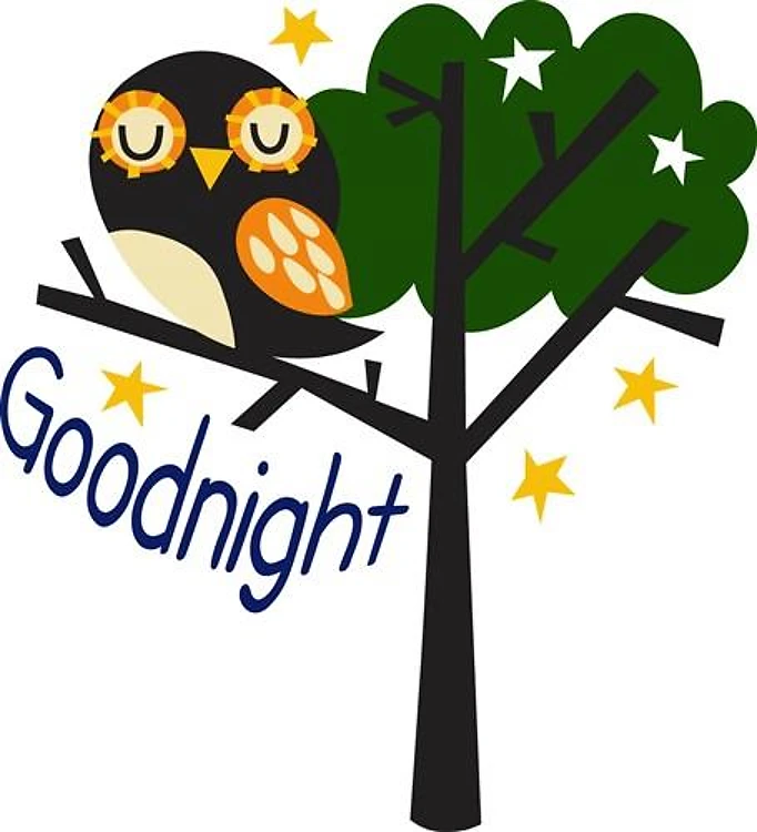 GOODNIGHT OWL