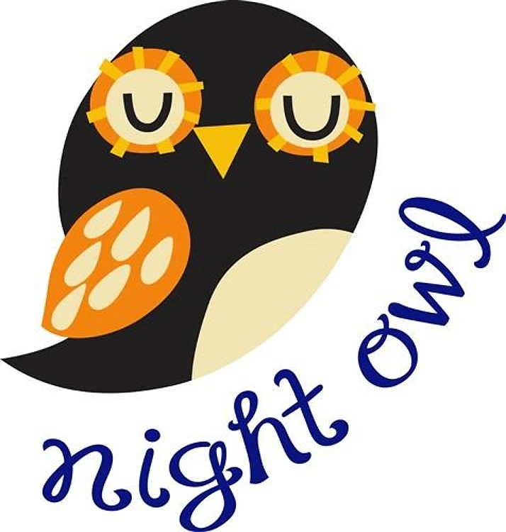 NIGHT OWL