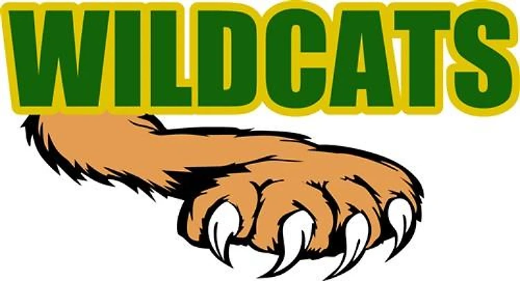 WILDCATS TEAM