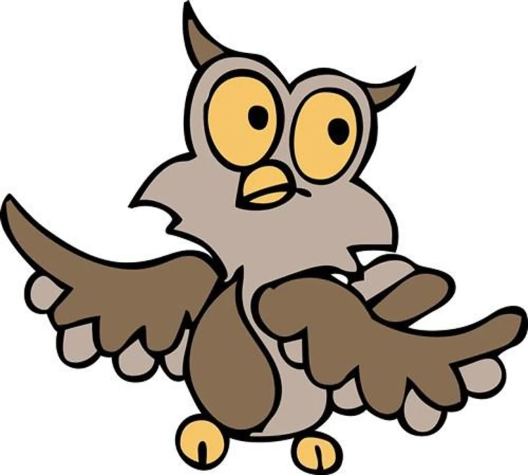 WISE OWL