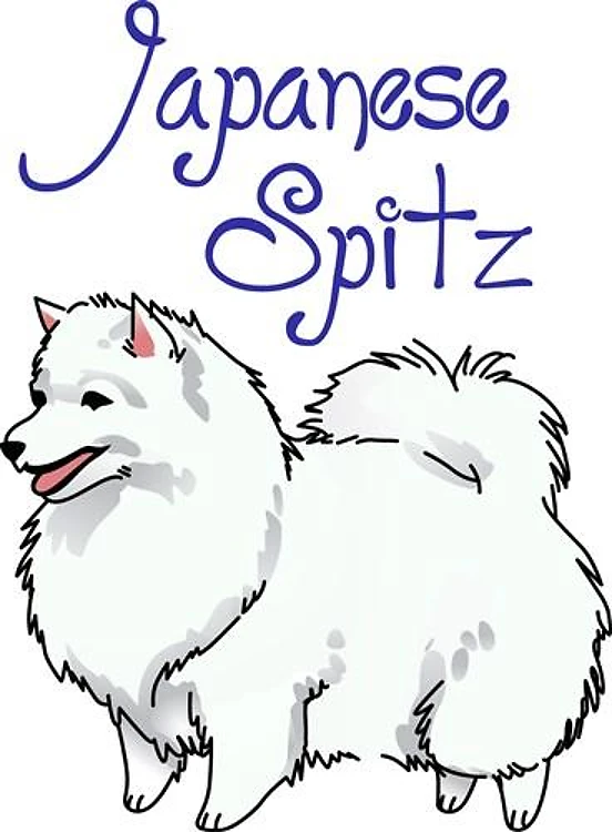 JAPANESE SPITZ