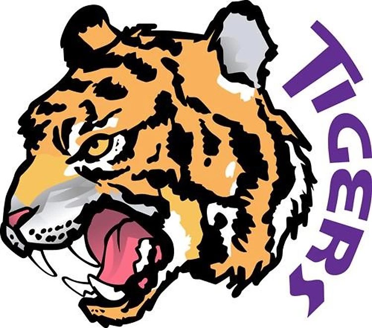 TIGERS TEAM