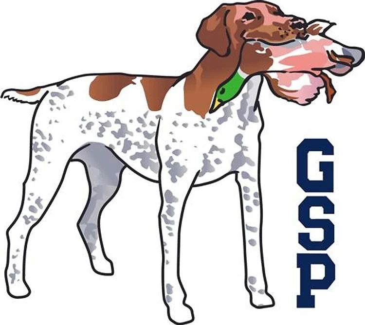 GSP HUNTING DOG