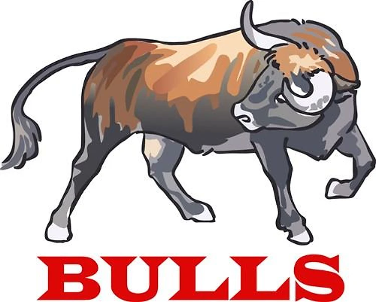 BULLS MASCOT