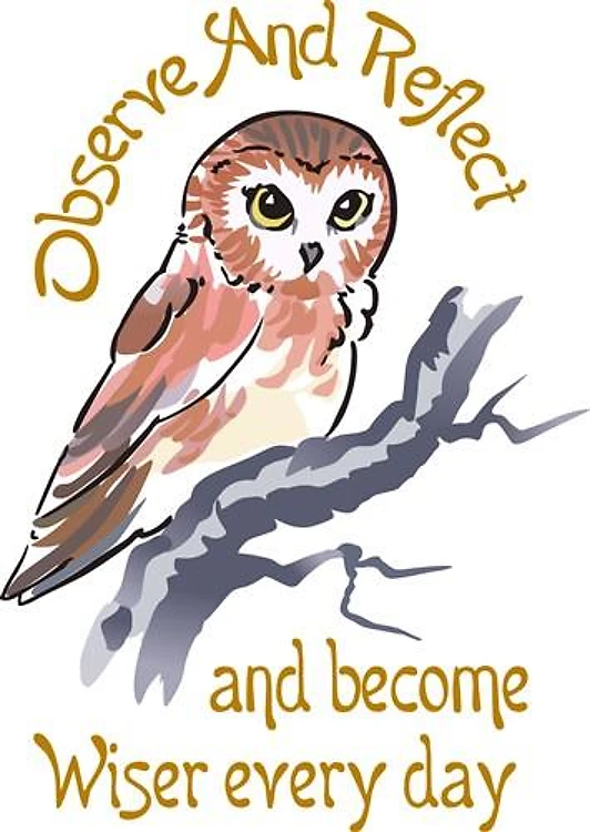 OBSERVE AND REFLECT